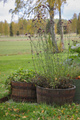 Whiskeytunna Original Ek Ø64 cm Scan-Pot